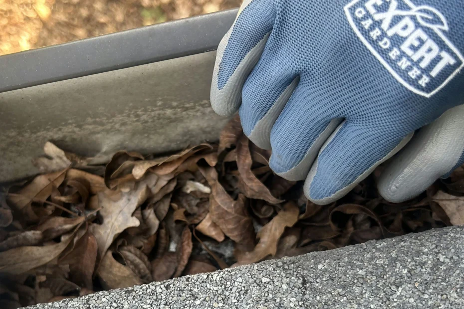 Gutter Cleaning Stockbridge GA