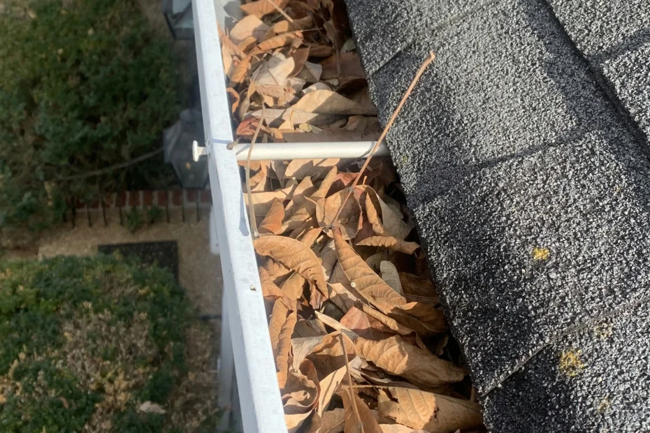 Gutter Cleaning Stockbridge GA