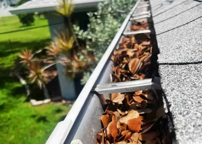 Gutter Cleaning Stockbridge GA home page